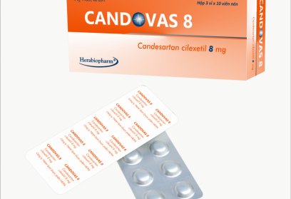CANDOVAS 8 