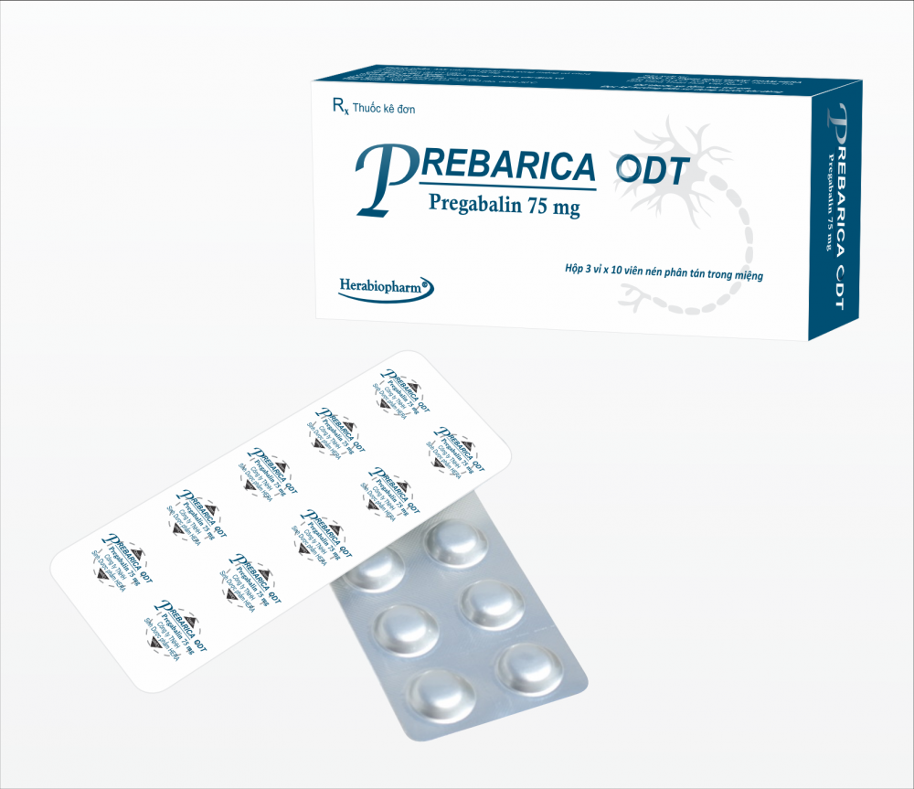PREBARICA ODT