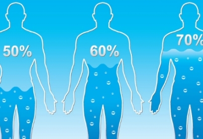 Drink as much water per day is enough for the body